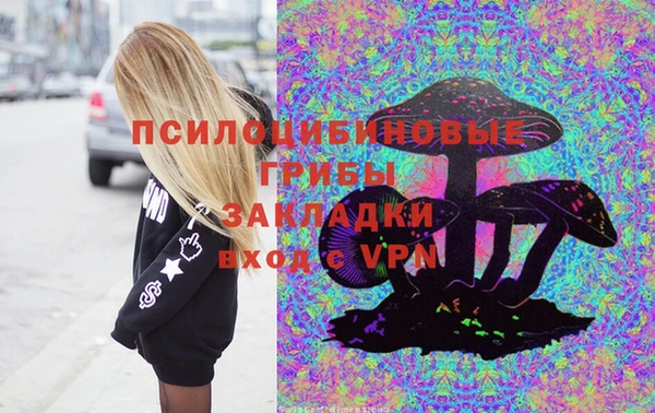 амф Богородицк