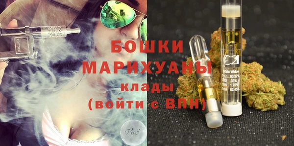 гашиш Богданович