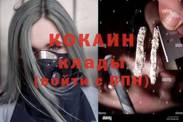стафф Арсеньев