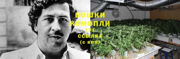 амф Богородицк